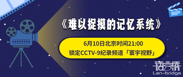 語言橋影音譯制|當(dāng)《盜夢空間》成為現(xiàn)實