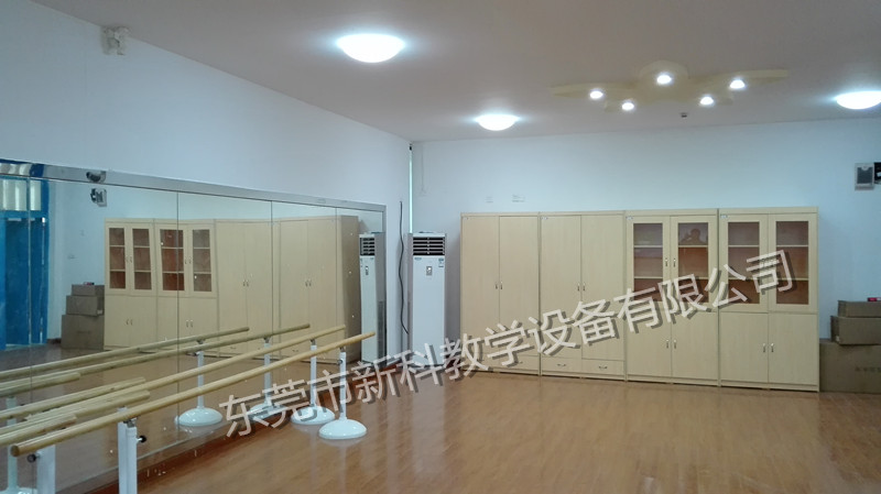 <a href='http://www.whcydz.cn/chanpin/59-1.html' target='1' style='font-size:18px; font-weight:bold; color:#000000;'>舞蹈室</a>